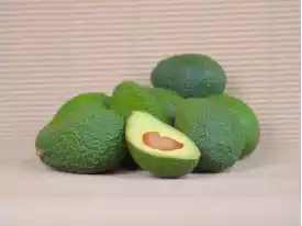 Buy AVOCADOS