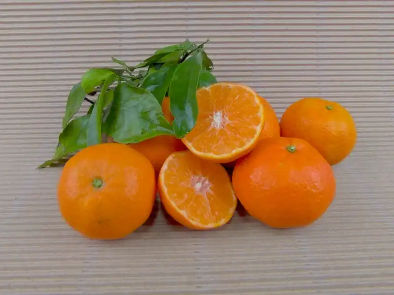 Organic Mandarin Box 5 kg