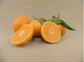 Buy MANDARINS