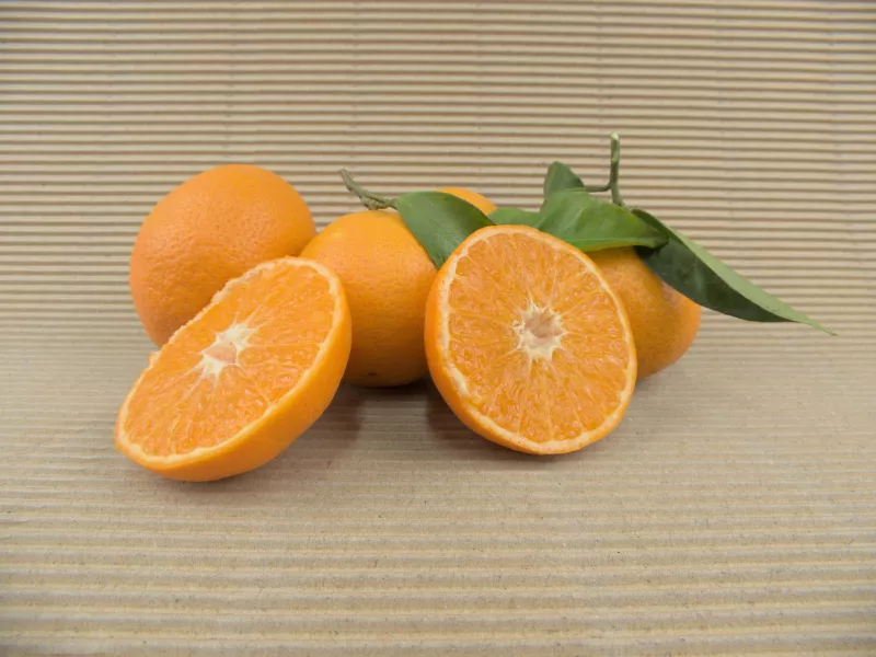 Organic Mandarin Box 15 kg