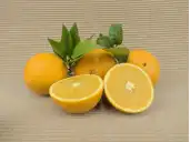 Buy ORANGES