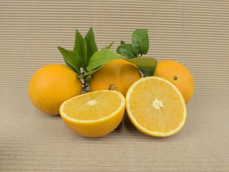Orange Box 20 kg
