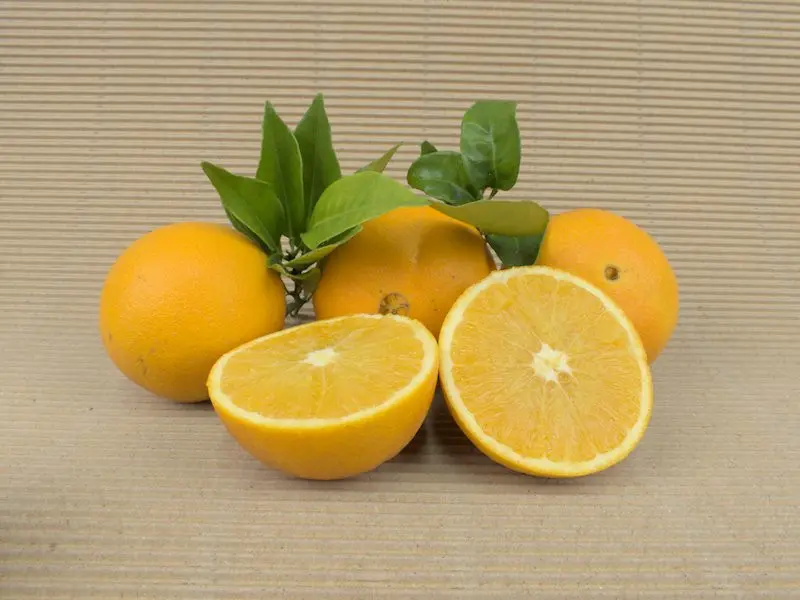 Mixed Box 20 kg (15 kg oranges + 5 kg mandarins)