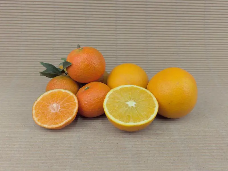 Organic Mixed Box 15 kg (10 kg oranges + 5 kg mandarins)