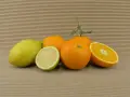 Mixed Box 20 kg (8 kg oranges + 12 kg lemons)