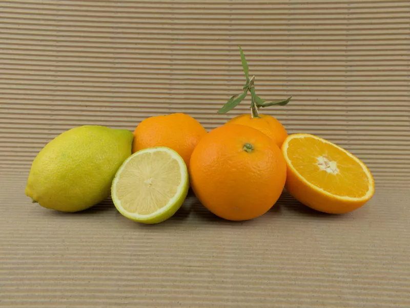 Mixed Box 20 kg (16 kg oranges + 4 kg lemons)