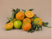Buy MANDARINS