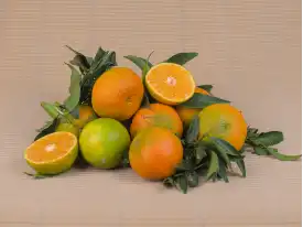 Buy MANDARINS