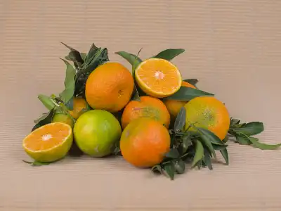 Mandarin Box 10 kg