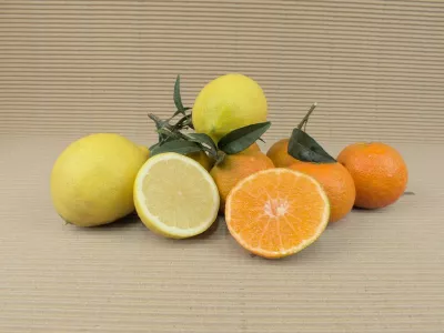 Mixed Box 10 kg (8 kg mandarins + 2 kg lemons)