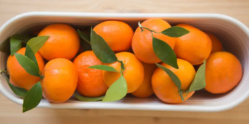 Mandarins Orri
