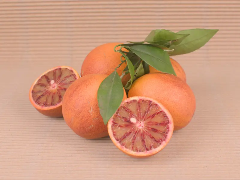 Mixed Box 20 kg (10 kg oranges + 10 kg Sanguinelli)