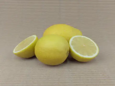 Lemons Verna