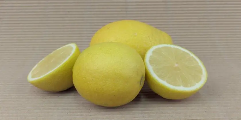 Lemons Verna
