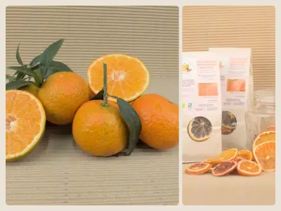 Organic Mixed Box 10.1 kg (10 kg mandarins + 100 g dehydrated citrus fruits)