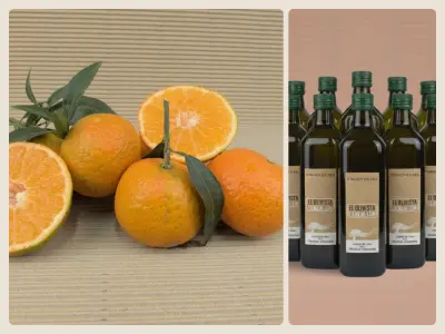 Organic Mixed Box 15 kg (14kg mandarins + 1 L oil)