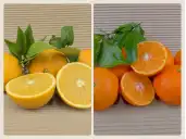 Buy ORGANIC MIXED BOXES
