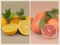 Organic Mixed Box 20 kg (10 kg oranges + 10 kg Sanguinelli)