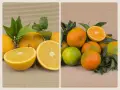 Mixed Box 10 kg (5 kg oranges + 5 kg mandarins)