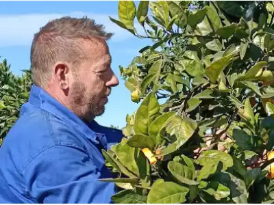 Fran Nicolás: Harvester