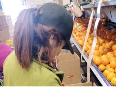 Marisa: Select and pack the oranges