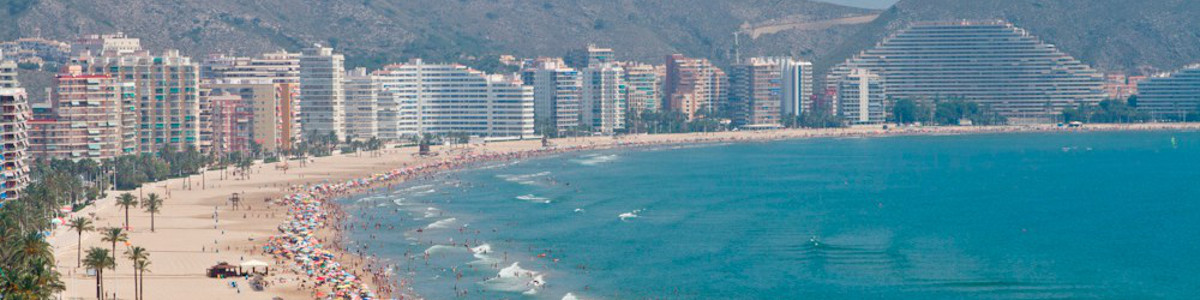 LA BAHÍA DE LOS NARANJOS (THE BAY OF ORANGE TREES)