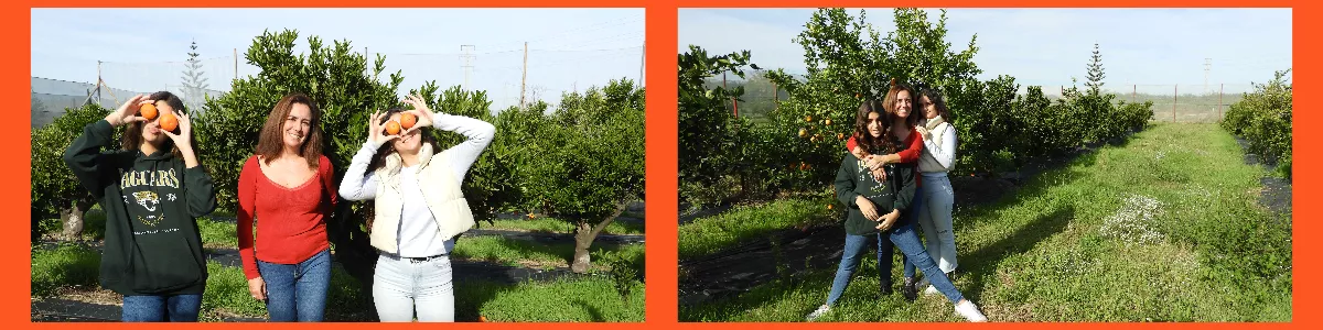 A very personal project