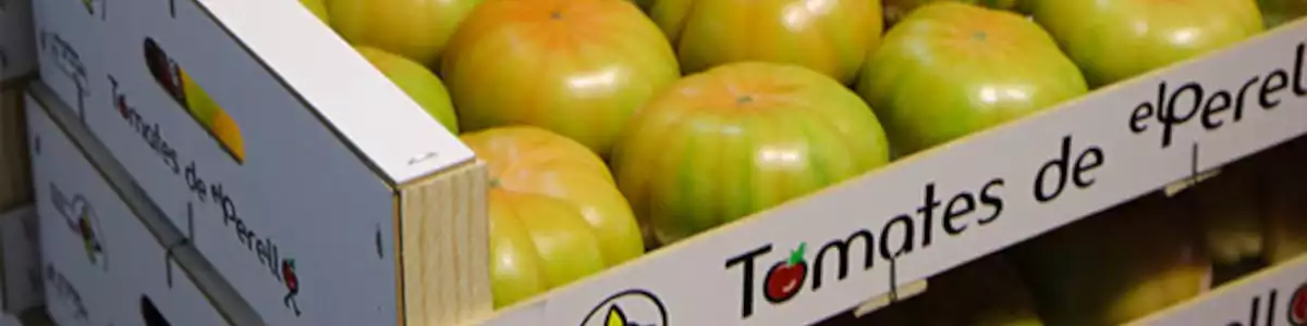 The tomato from El Perelló: From the sand of our childhood to your table