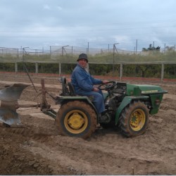 Preparing the soil