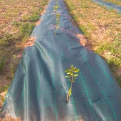 Fabric protected groove