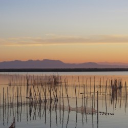 Albufera