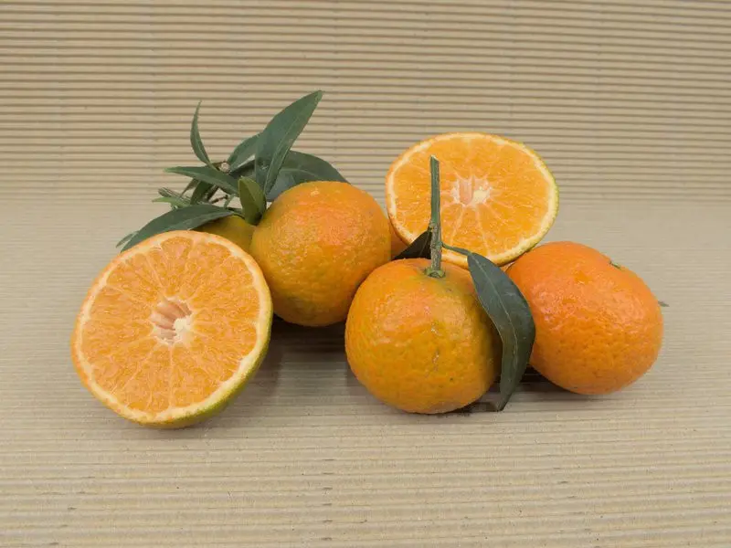 Organic Mixed Box 15 kg (10 kg oranges + 5 kg mandarins)