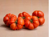 Buy TOMATOES