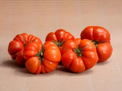 Tomatoes Box 4.3 kg