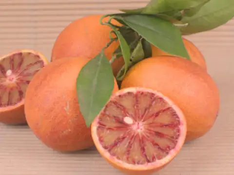 Blood oranges Sanguinelli